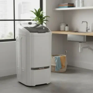 Tanquinho Colormaq Lavadora Roupas Semi-automática Lcs 10kg